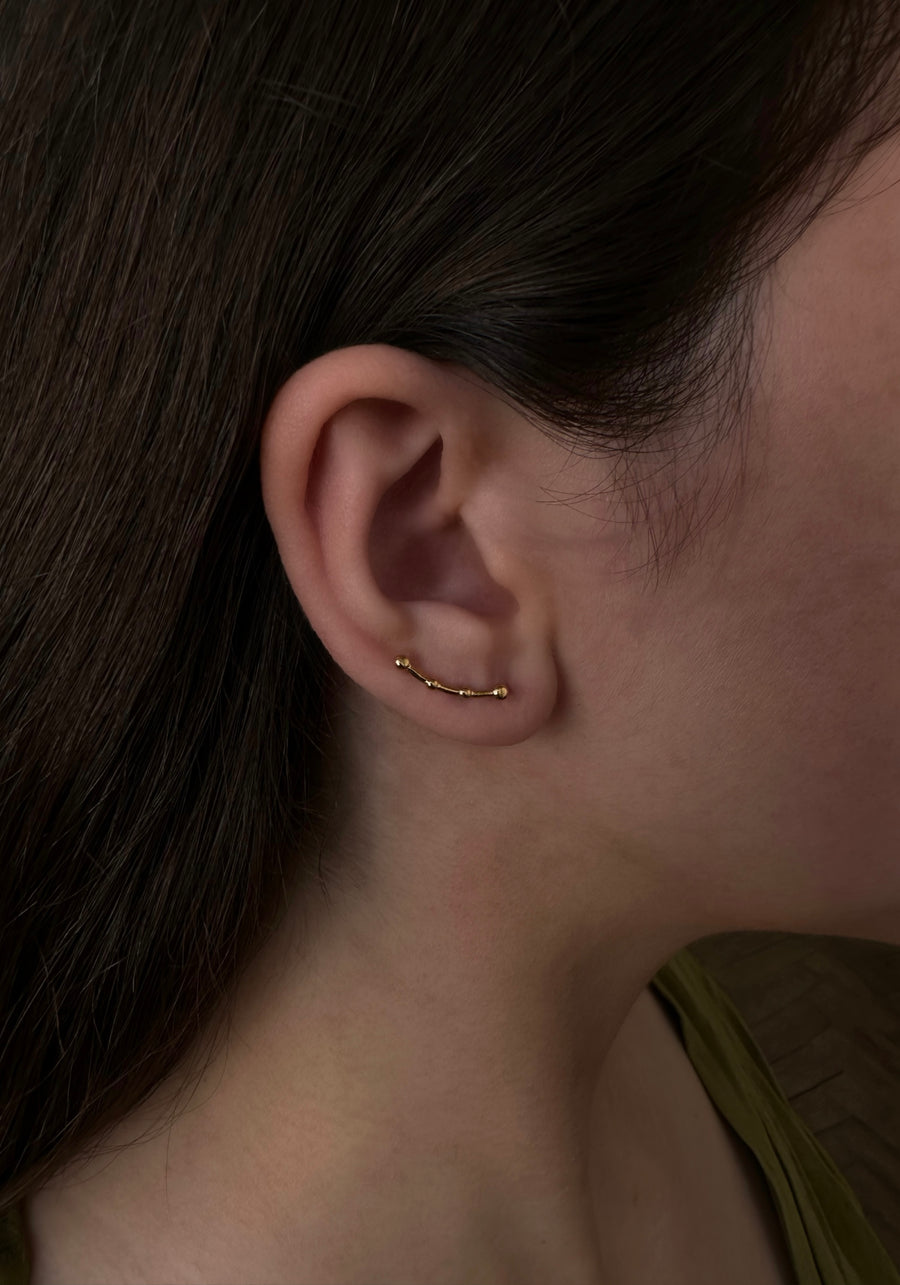Scalea earrings